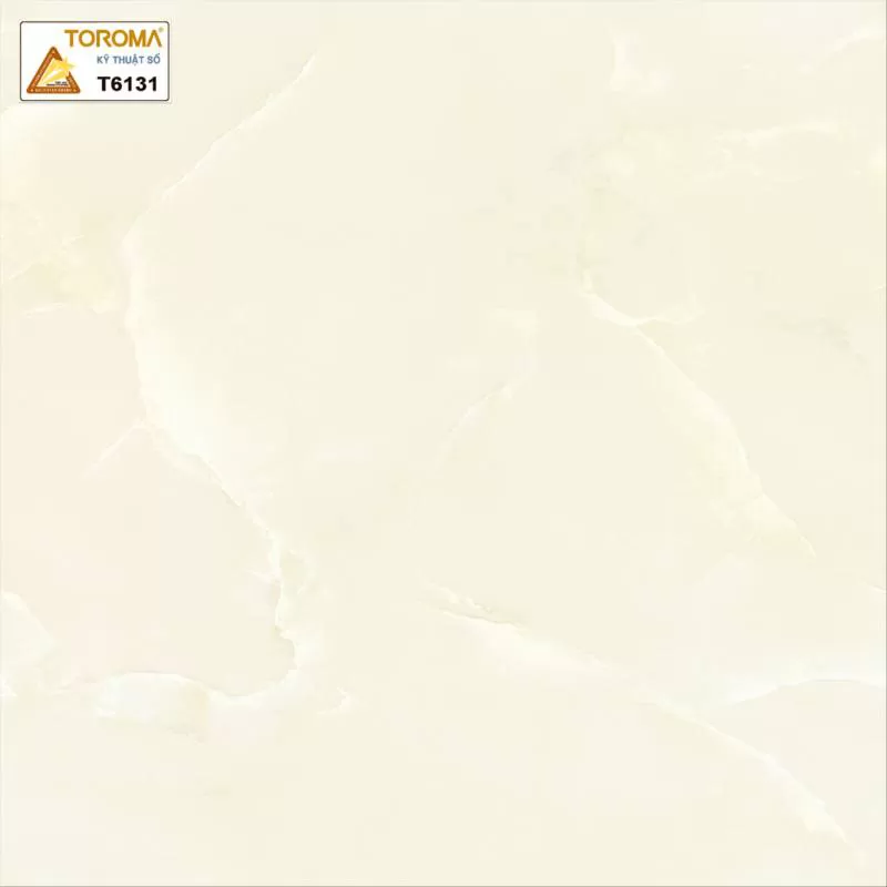 Gạch Toroma kỹ thuật số T6131