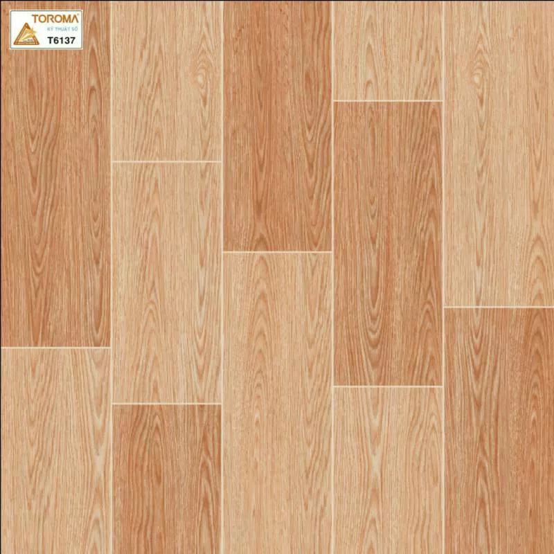 Gạch Toroma kỹ thuật số T6137 