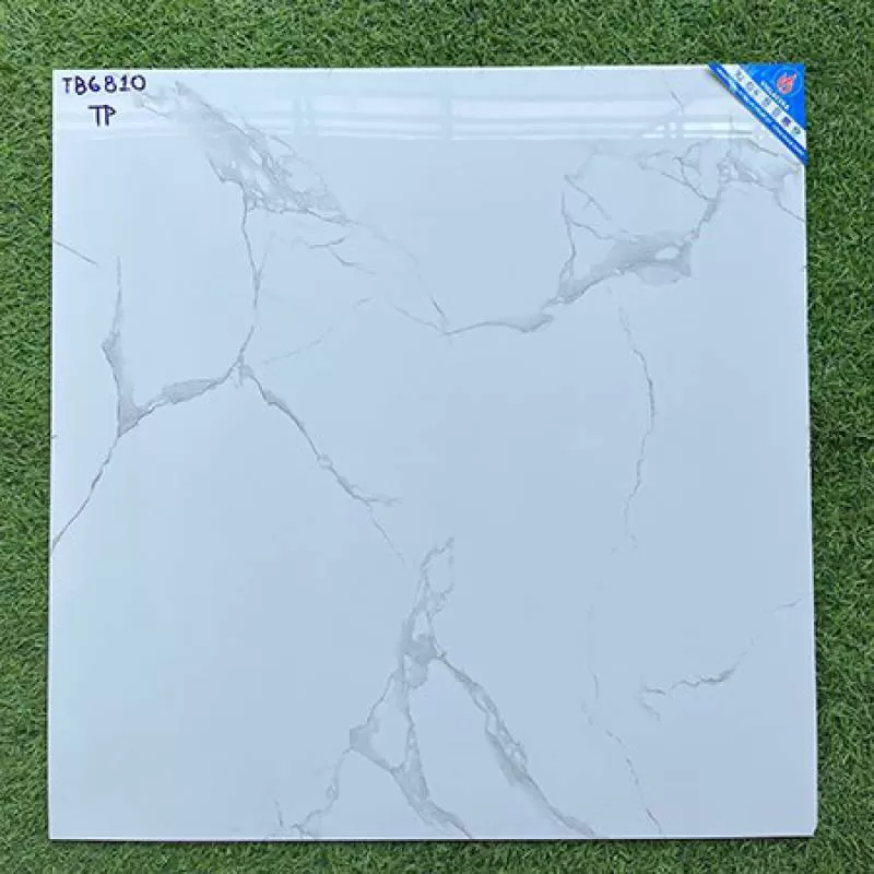 Đá bóng kính viglacera TB 6810