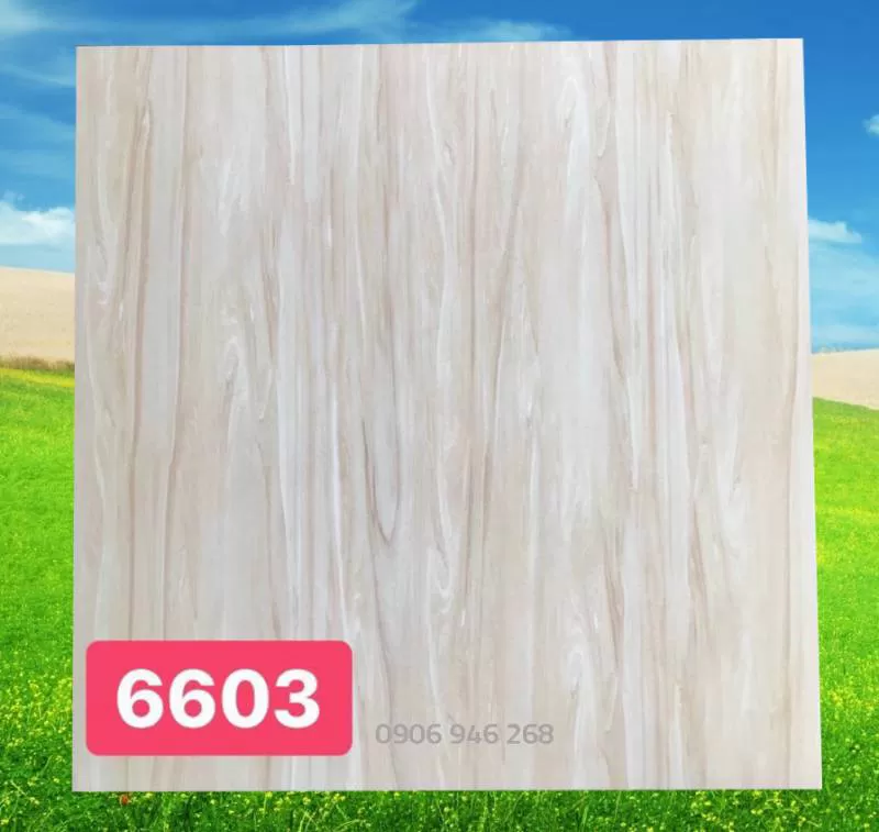 Gạch 600x600 PAK 6603