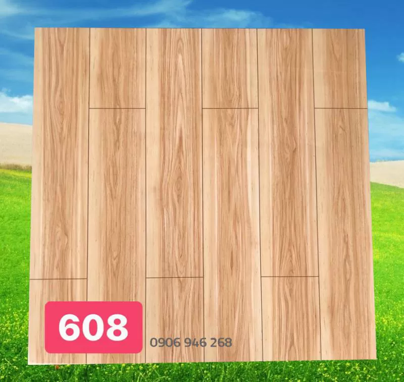 Gạch 60x60 PAK 608 