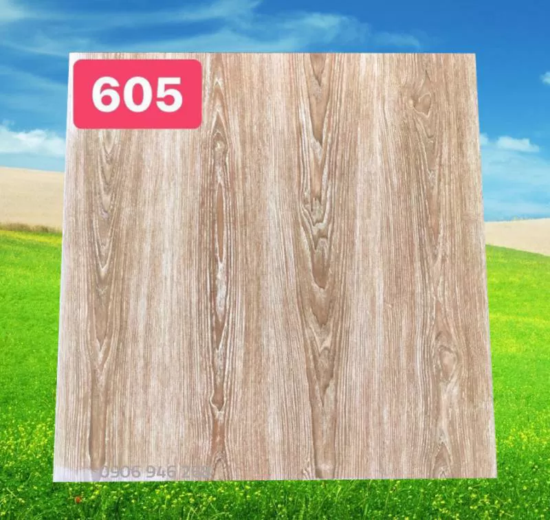 Gạch 60x60 PAK 605 