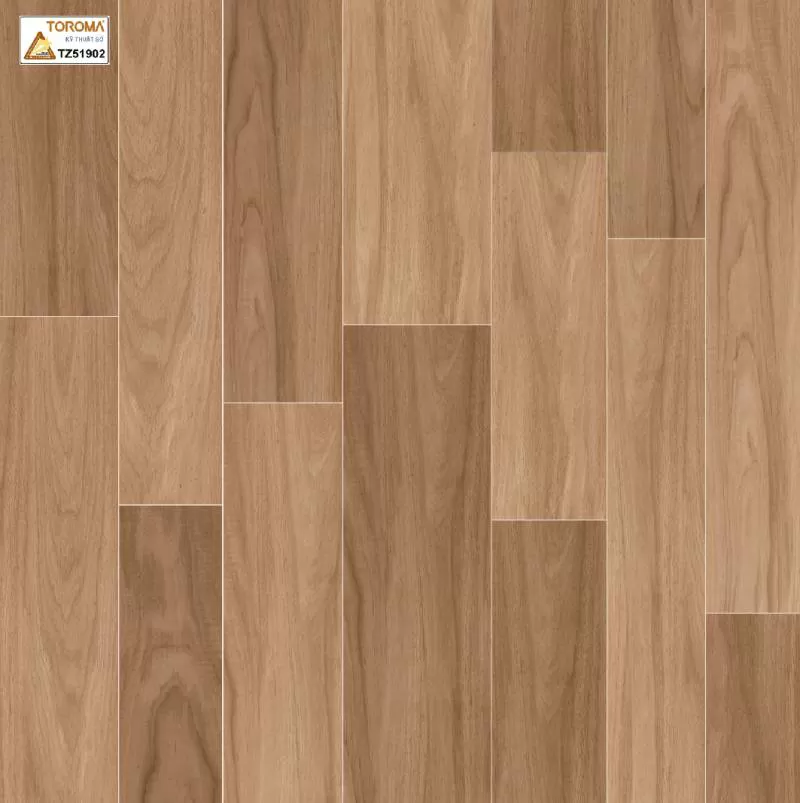 Gạch TOROMA 50x50 TZ51902 