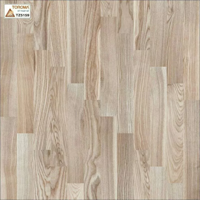 Gạch TOROMA 50x50 TZ5159 