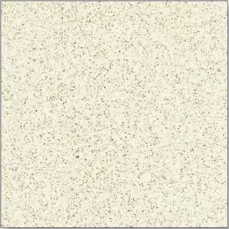 Granite Thanh Thanh 60x60 SB6038