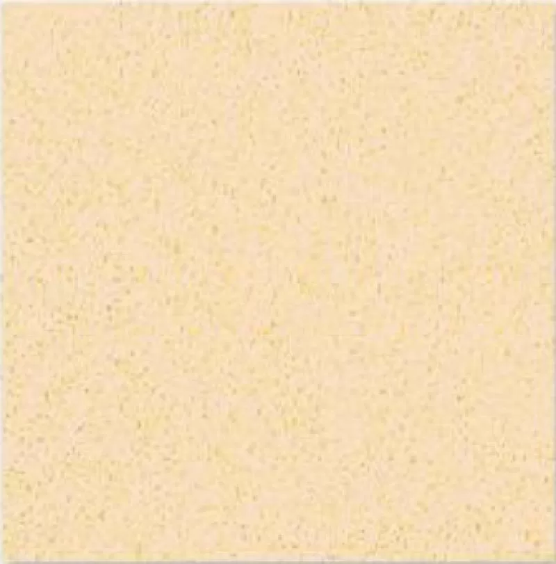 Gạch 60x60 Bạch mã HG 6002