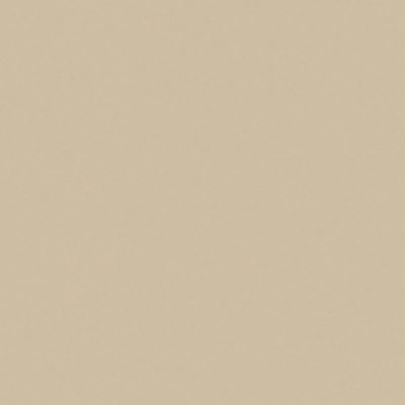 Gạch Viglacera TS5602