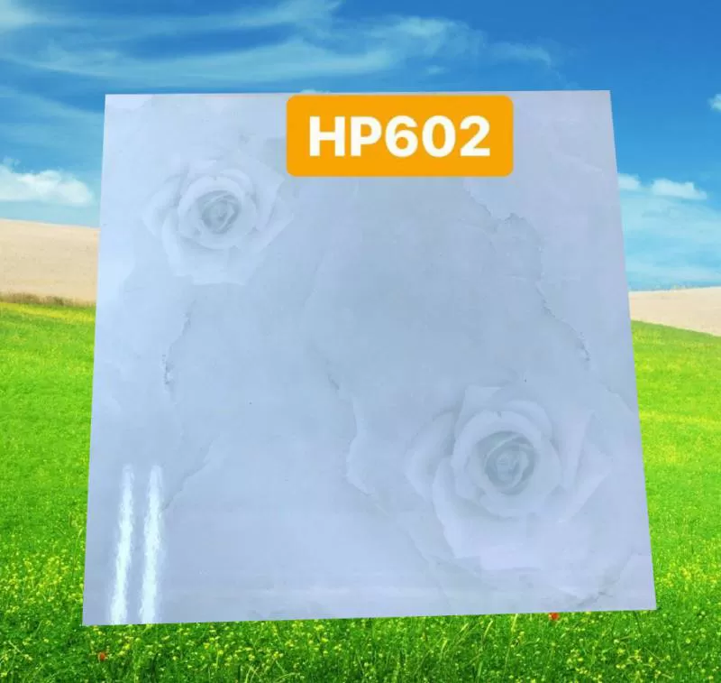 Gạch pak 600x600 HP 602 