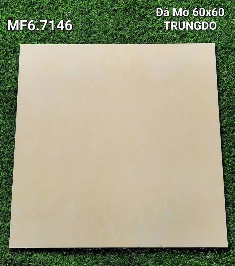 Đá lát nền Trung Đô MF6-7146