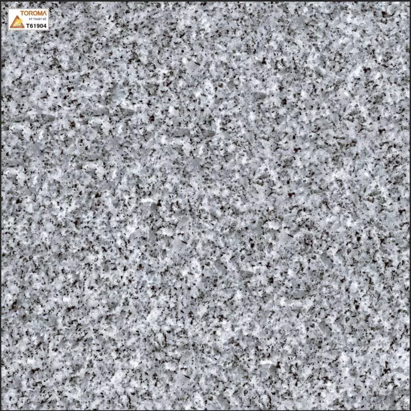 Gạch lát nền Toroma 60x60 T61904