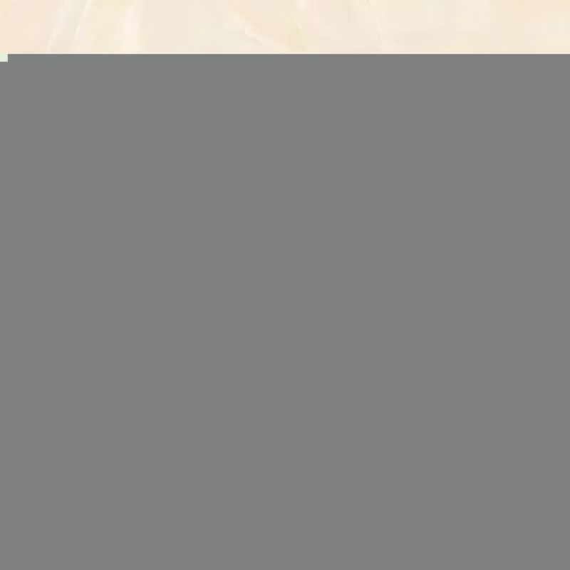 Gạch Titami 50x50 CTM 5685 