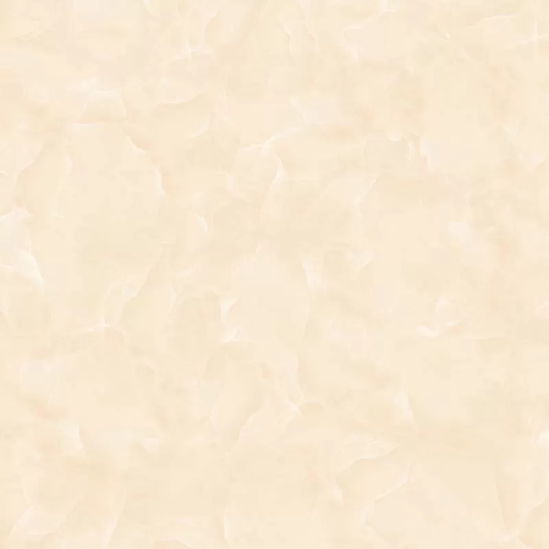 Gạch Titami 50x50 CTM 5683