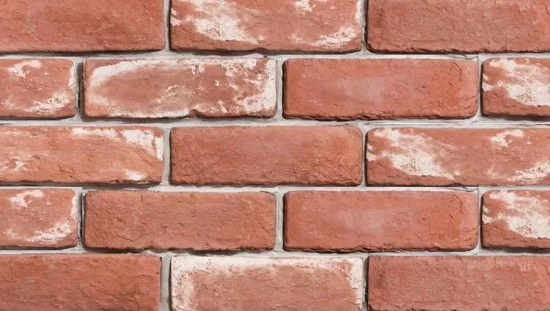 Gạch cổ đỏ tươi NGC010 