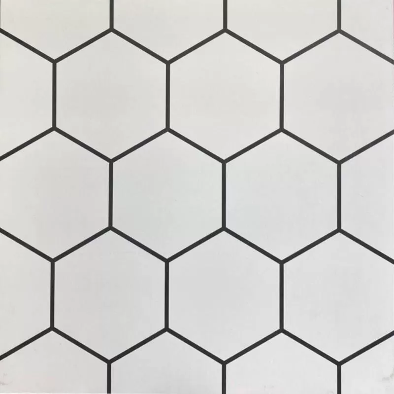 Gạch Porcelain 60x60 6056 