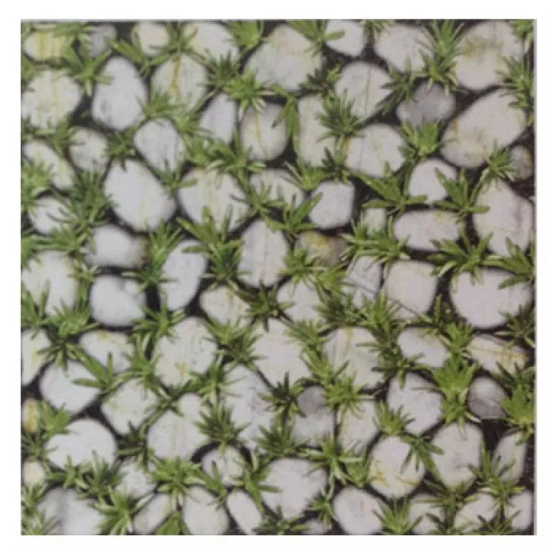 Gạch Granite Men Mờ Lát Sân Vườn 40*40cm 4040CLG003