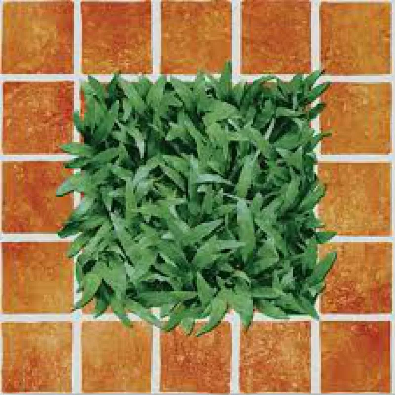 Gạch Granite Men Mờ Lát Sân Vườn 40*40cm 4040CLG002 