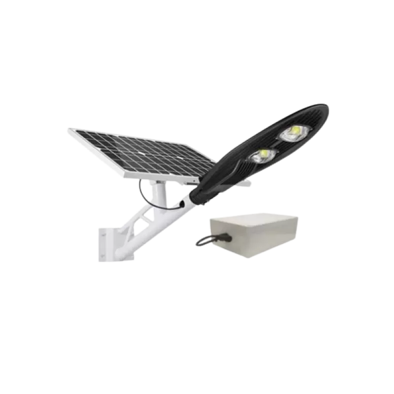 Đèn đường năng lượng mặt trời L-100W/NP - NGỌC PHÁT SOLAR