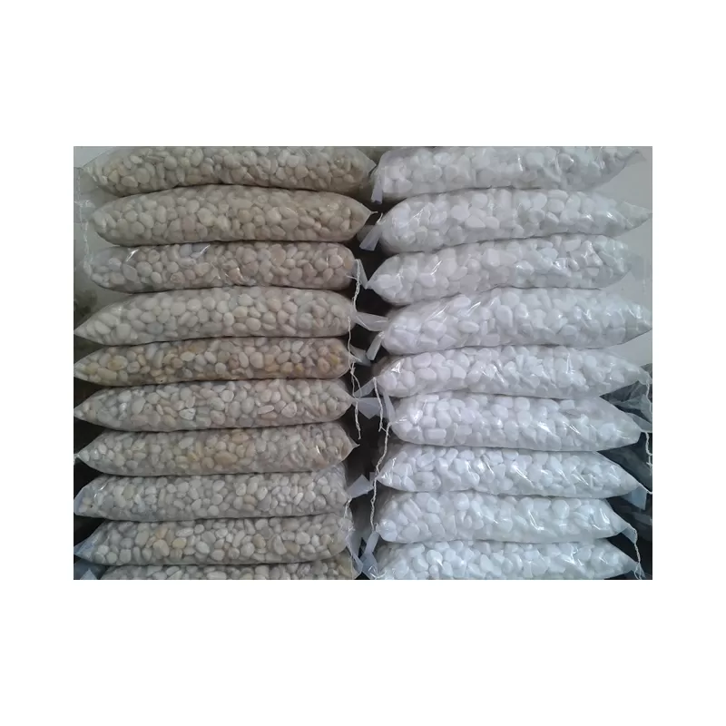 SỎI BAO QUÂY TRẮNG & SỎI TỰ NHIÊN