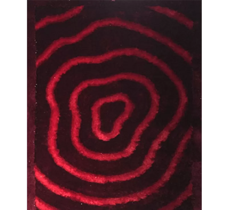 THẢM TRẢI SÀN 3D CAO CẤP – 2009