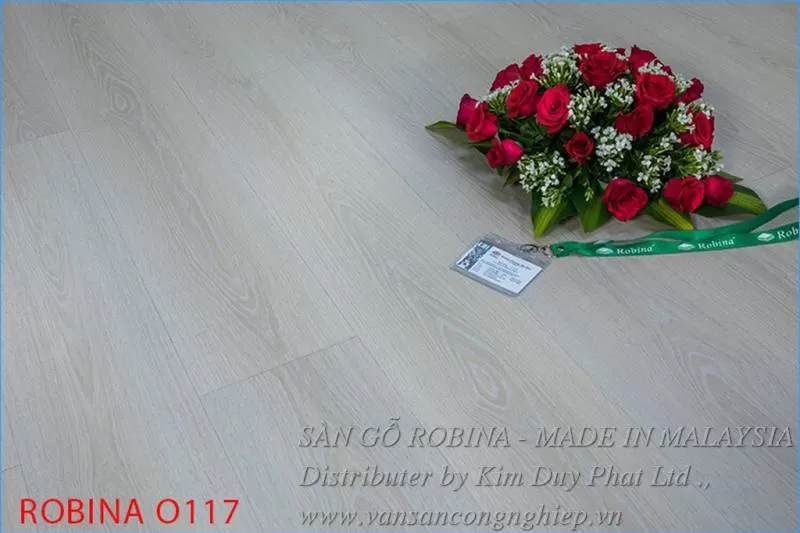 Sàn gỗ Robina 8MM 0117