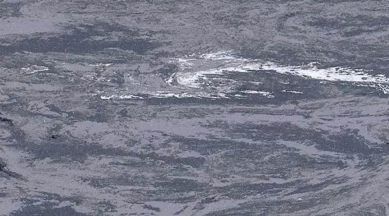 Sàn kháng khuẩn Gerflor Mipolam 180 mã 2016