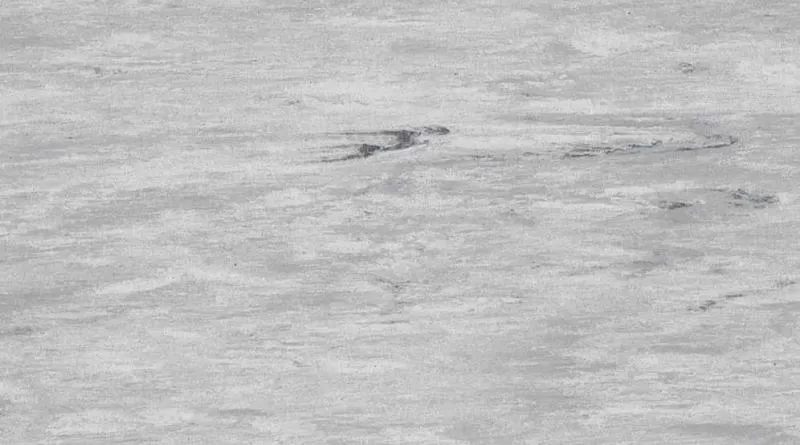 Sàn kháng khuẩn Gerflor Mipolam 180 mã 2014