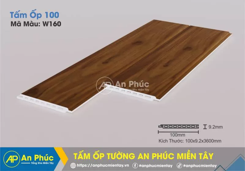 Tấm nano 100 - Màu W160