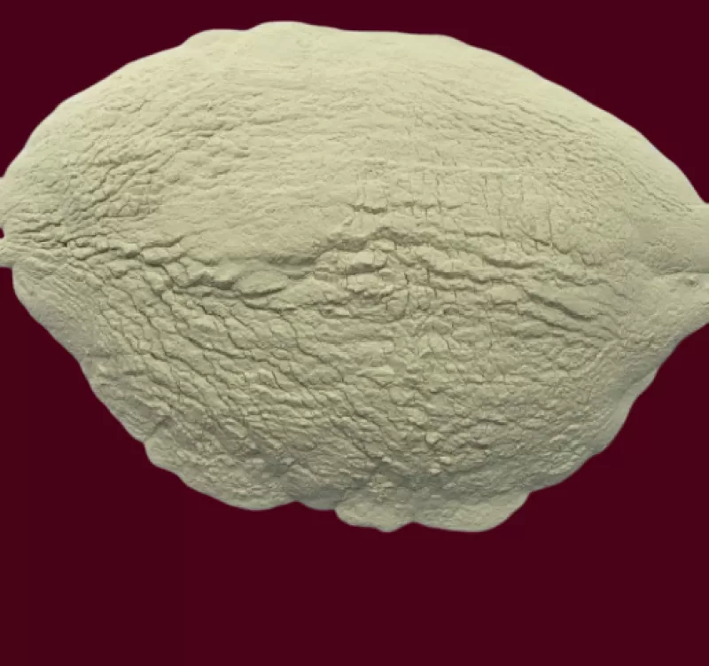 Ferrous Sulphate Monohydrate (FeSO4.H2O)