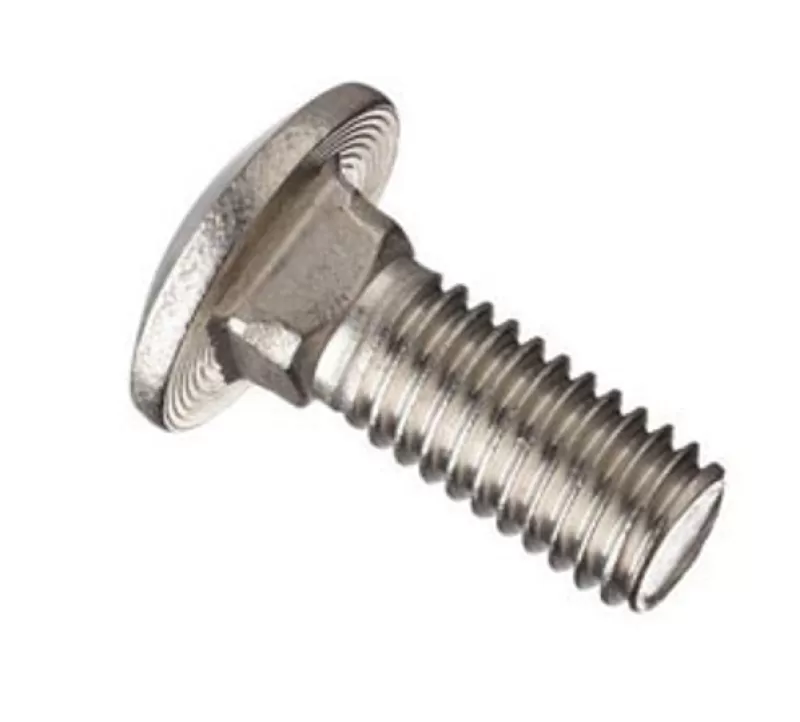 Bulong đầu dù cổ vuông inox 316 M8x75 DIN 603 