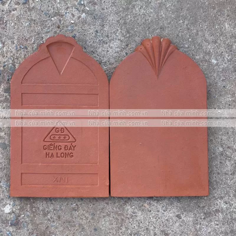 Ngói hài ngói sò chân chó Giếng Đáy Quảng Ninh cao cấp