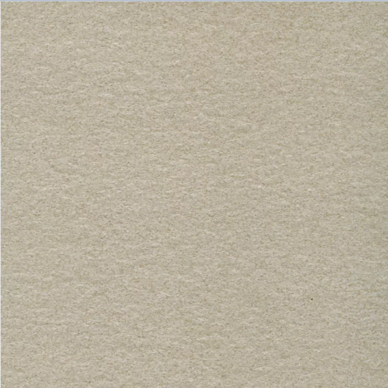 Gạch ốp lát 60x60 Taicera màu trắng sữa đồng chất G68522 