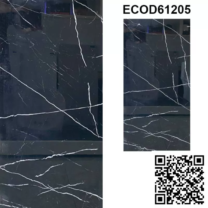 Gạch Ốp Lát 60x120 Viglacera ECOD61205