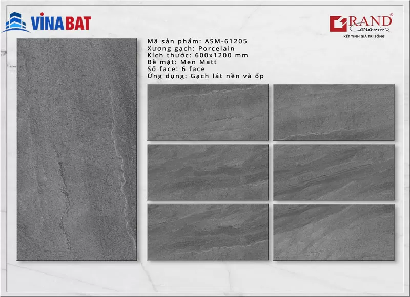 Gạch ốp lát Grand 60x120cm ASM61205 màu ghi men matt