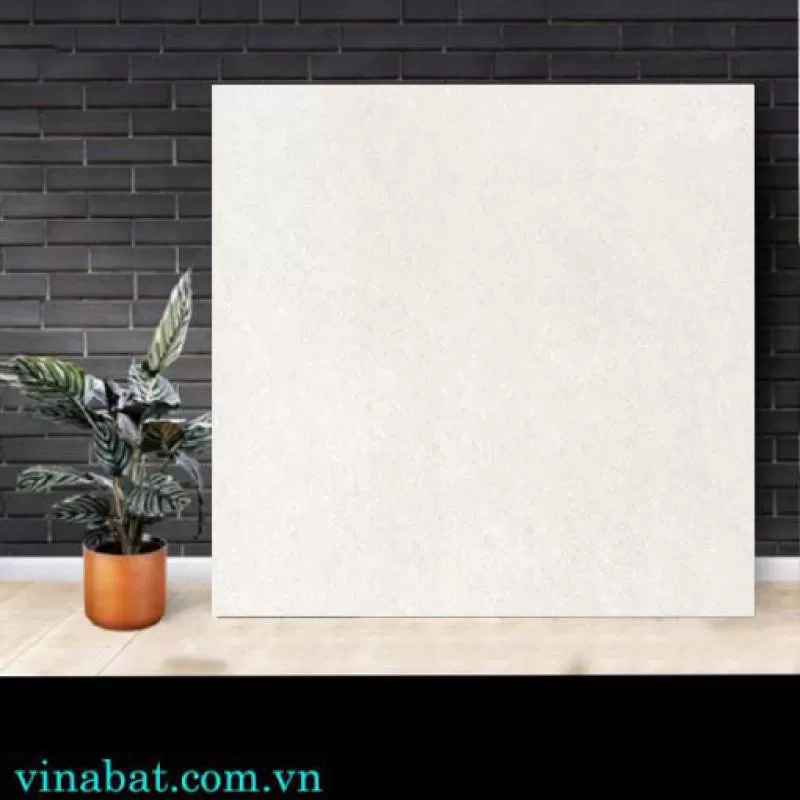 Gạch Taicera 60x60cm P67702N