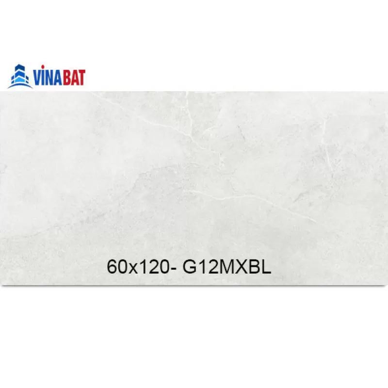 Gạch Taicera 60x120cm G12MXBL 