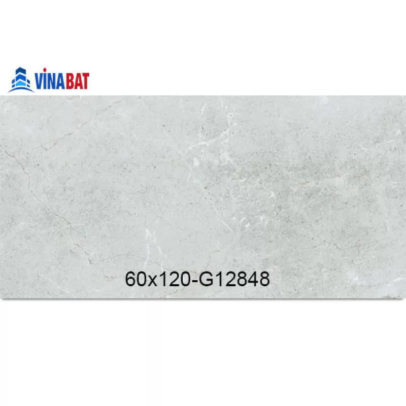 Gạch Taicera 60x120cm G12848 