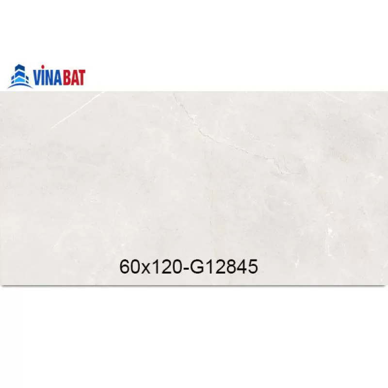 Gạch Taicera 60x120cm G12845