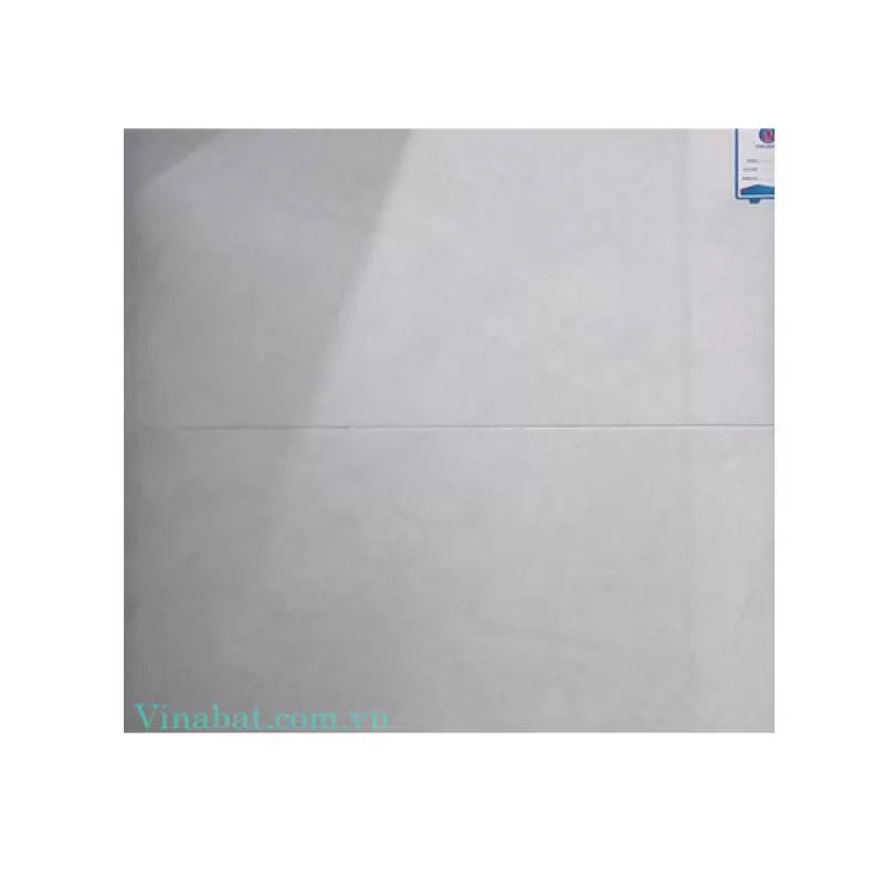 Gạch ốp tường Viglacera ceramic màu ghi nhạt 30x60 363 - VinaBAT 