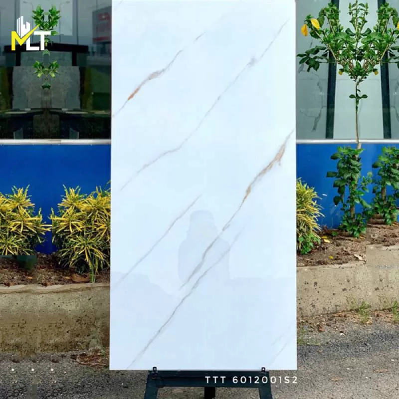 Gạch bóng kiếng 60x120 6012001S2 - Mỹ Linh Tú