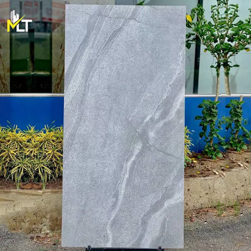 Gạch 60x120 6012005S2 (Mờ) - Mỹ Linh Tú 