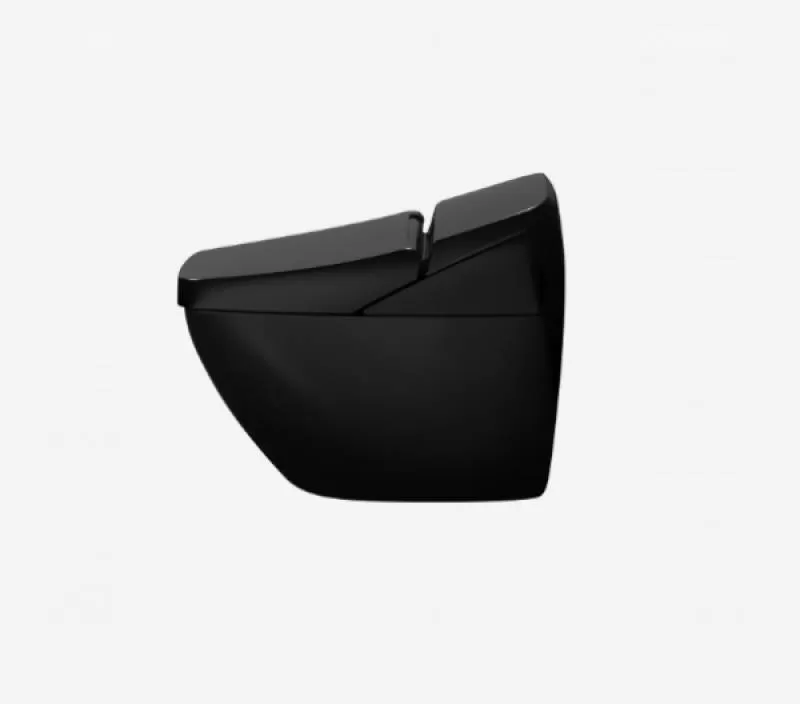 Bàn cầu cảm ứng Inax REGIO DV-R115VH-VN/BKG 