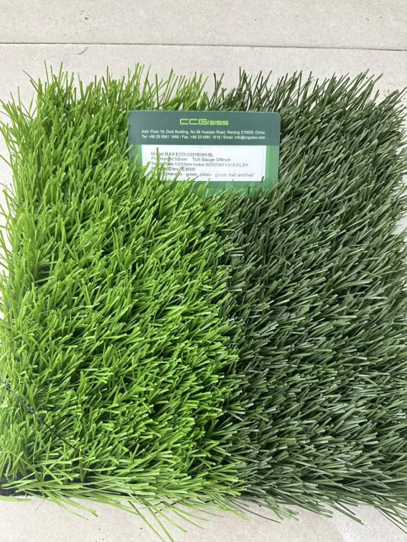 Thảm cỏ nhân tạo sân bóng CCGRASS – MAX ECO-5004B080-BL 