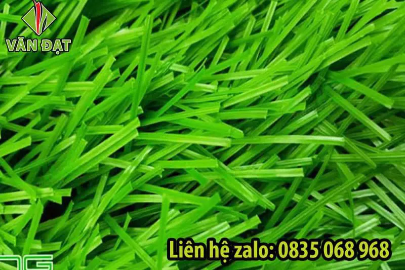 Cỏ sân bóng đá VD.11S-3