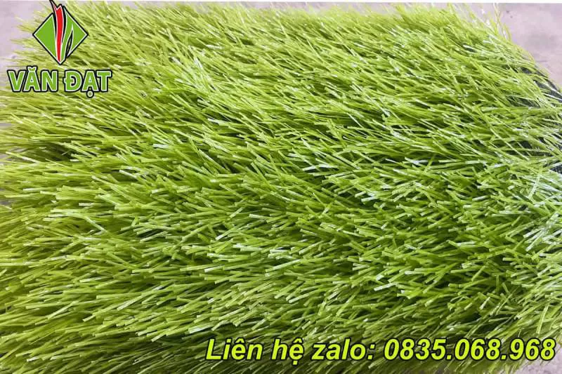 Cỏ sân bóng đá VD.11S-4