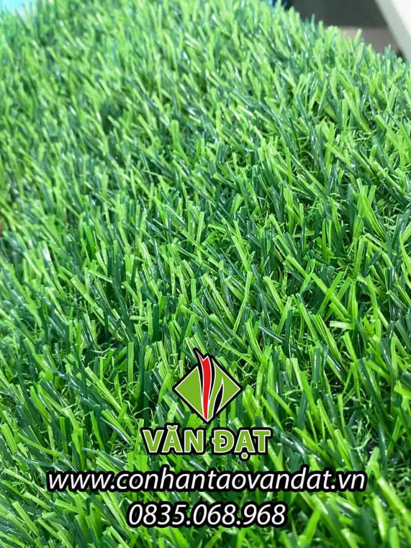 Cỏ nhân tạo 2 cm VDC002