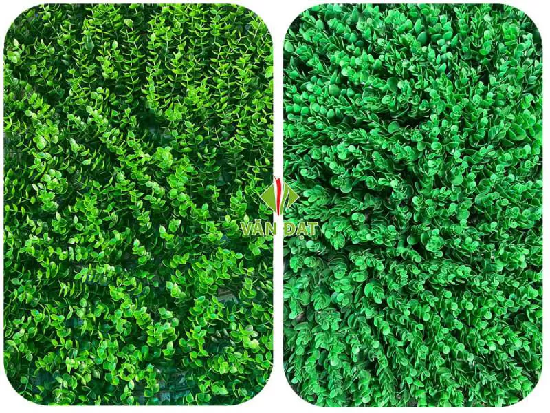 MẢNH TƯỜNG VD002