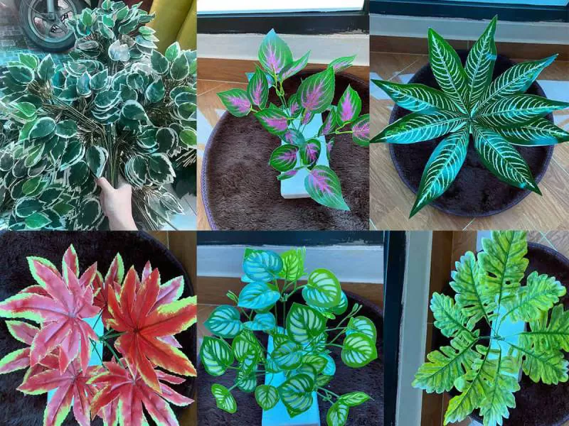 MẢNH TƯỜNG VD003