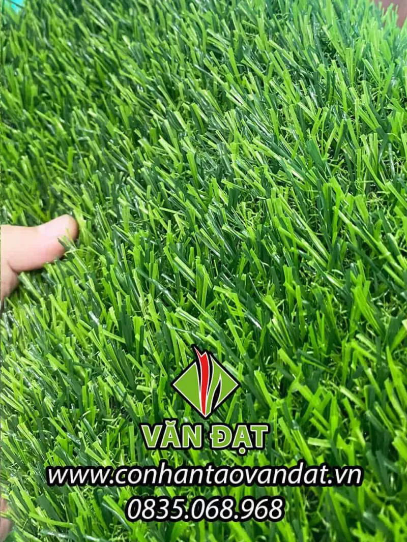 Cỏ nhân tạo 2cm tốt