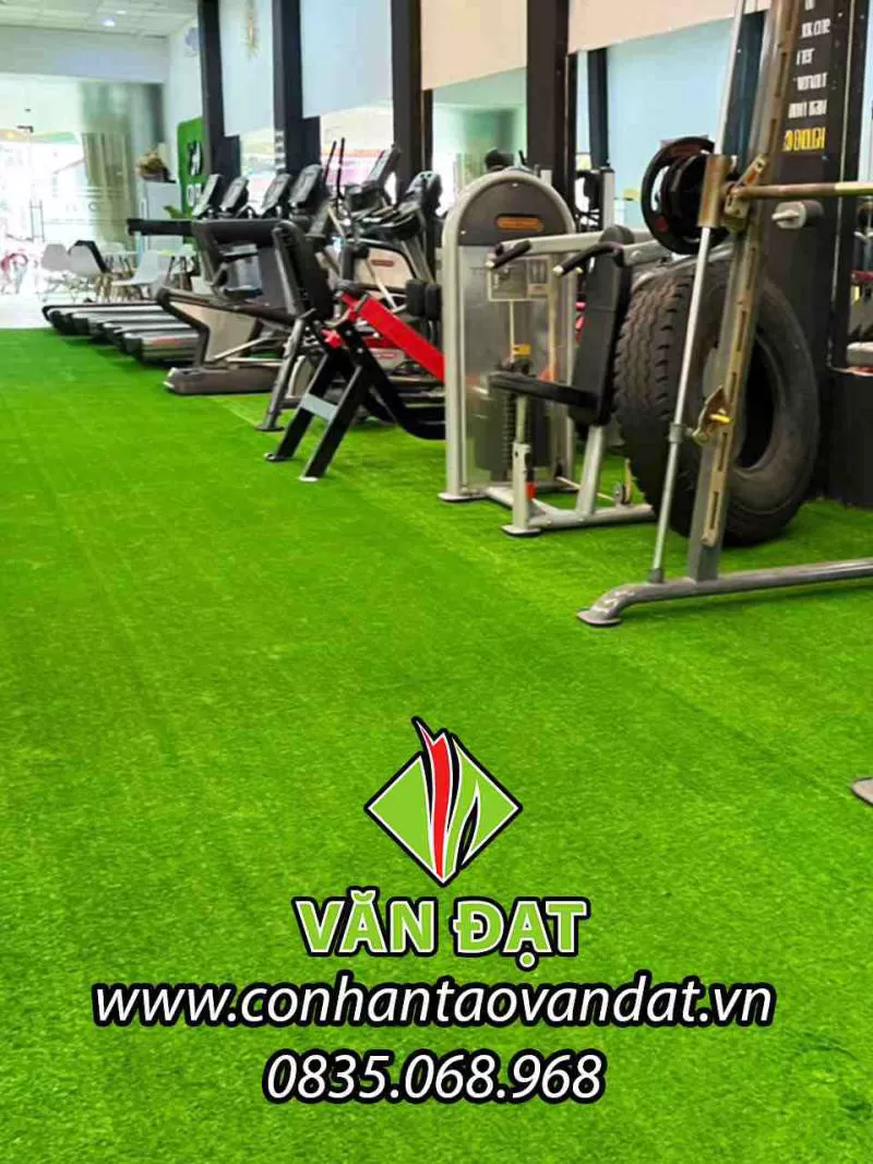Cỏ nhân tạo trải phòng Gym