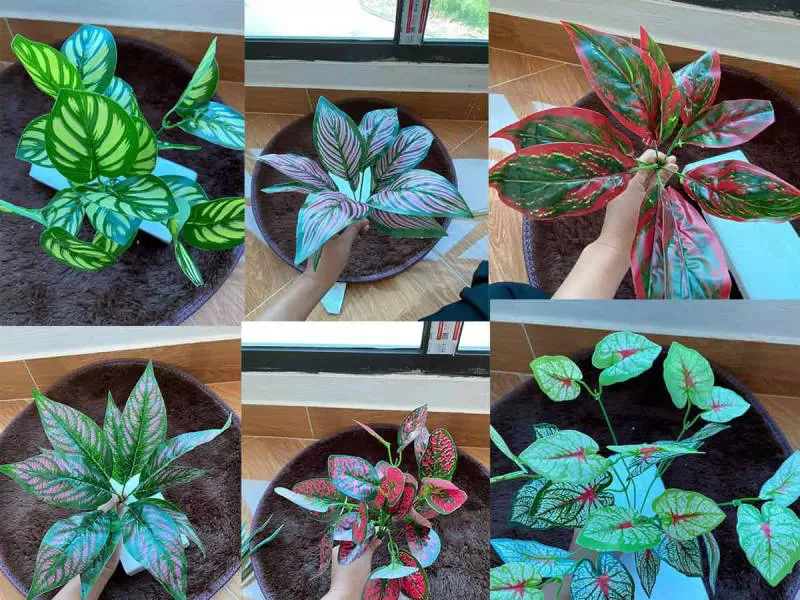 MẢNH TƯỜNG VD004